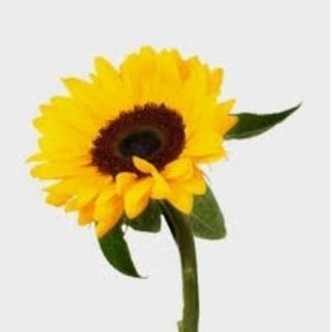 Meet your Posher, Regina